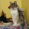 Отзыв от Нелли Агафонова